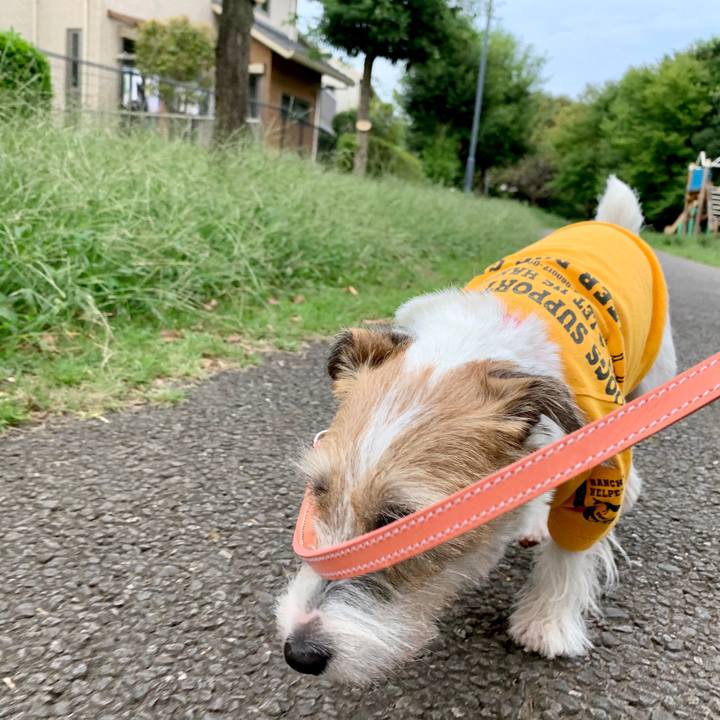 87f85d86 24d2 4f82 8c6f 2568d31bdd70 1601370419860