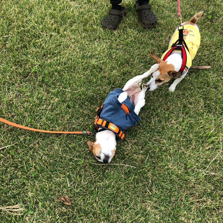 87f884c3 e6a2 4d7f a578 61cd0bf0fbfd 1571637660607