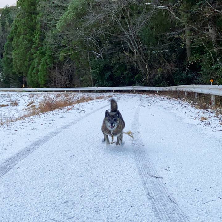 87f89f2a eef9 4b10 81a1 5cd9c8b89979 1608159337660