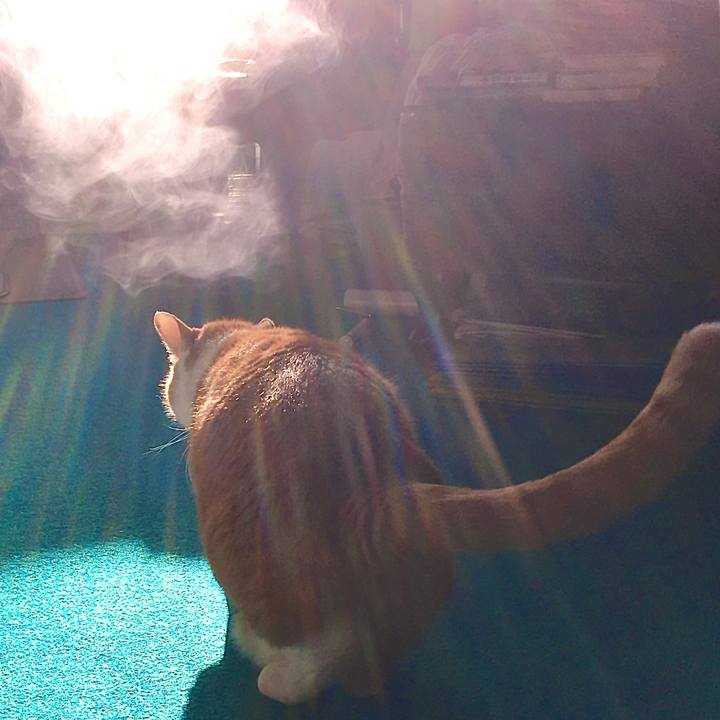 87f8bc5a fff9 43b0 a04c 34ec892092dd 1606727687957