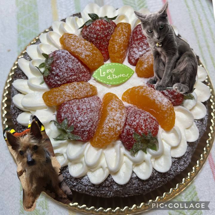 87f8e580 efbb 438e b948 69695741cb9f 1685317939503