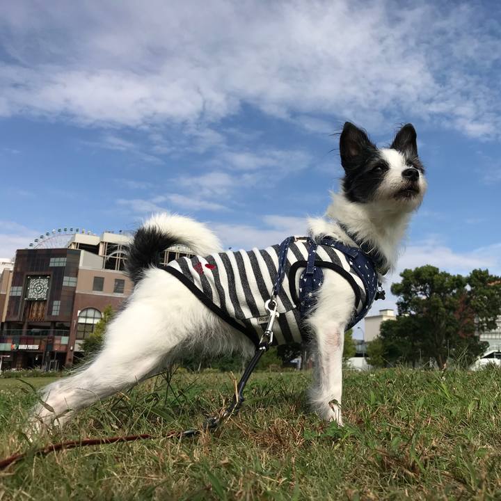 87f8ed8e 6707 42f9 b48d 9e1738ca2792 1601946541737