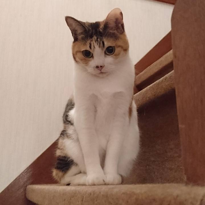 87f8fd67 3b4e 4d0f 9463 b15749137d5a 1556366575604