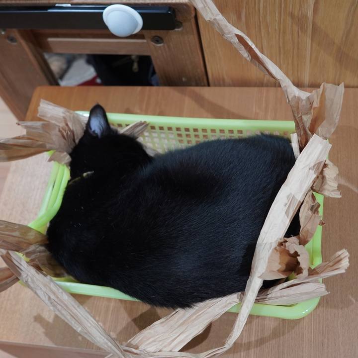 87f90759 8fe4 4d2d aee1 d8ff20e9b59b 1589618975338