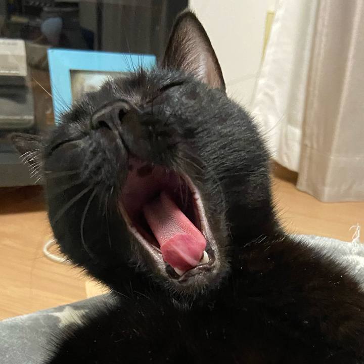 87f90fc3 4ee2 4ee2 a720 d562ac564ab0 1646309868354