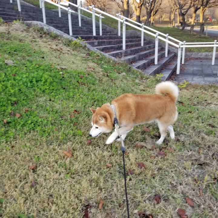 87f930df ee2d 4e89 8932 0304947bbb03 1668841325097