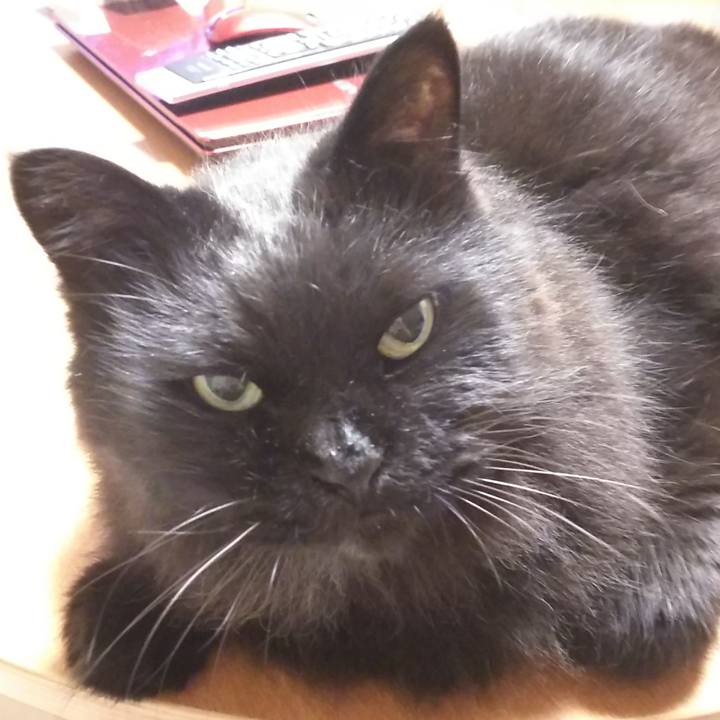 87f95306 7982 41b6 81b3 815eeba651d7 1559389096965