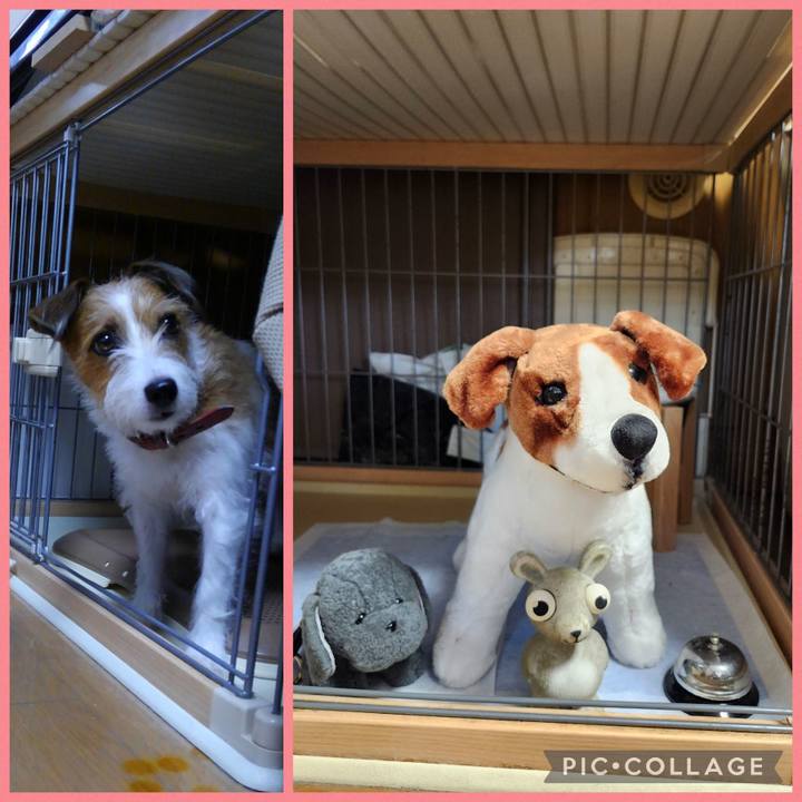 87f97500 f8eb 4ac3 b7d3 b62965207a26 1760082829871