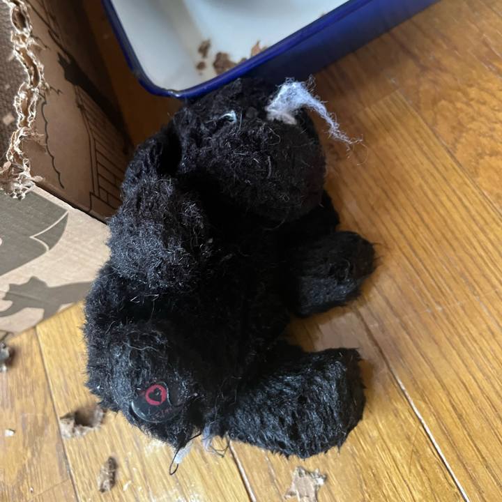 87f9848e 9d03 49f9 a2b5 fdbc58ab86e5 1676367786504