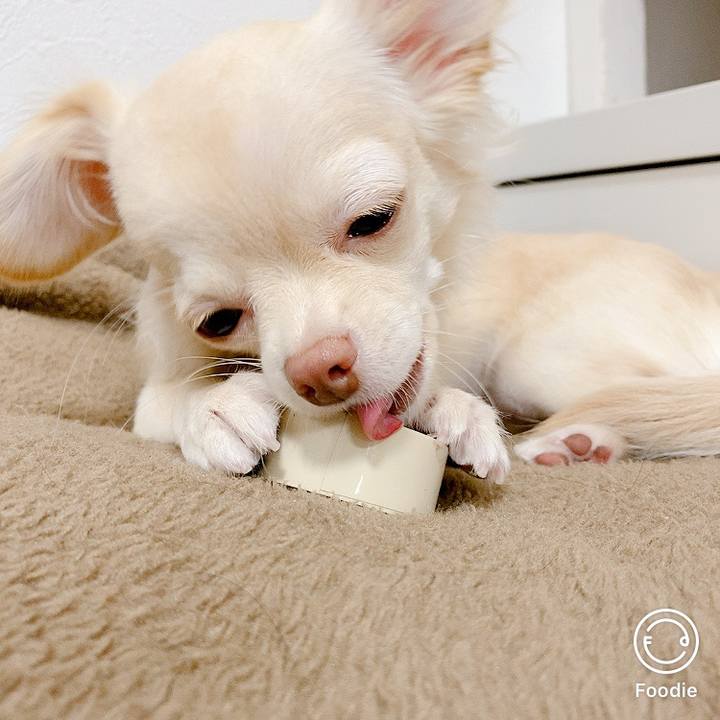 87f9f2b7 32cf 4ccb ad47 5284ccc54a0d 1601778249613