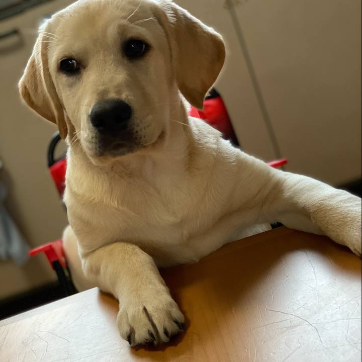 87f9fb84 70c5 430c bc8d ebfa9d5f6459 1615679951339