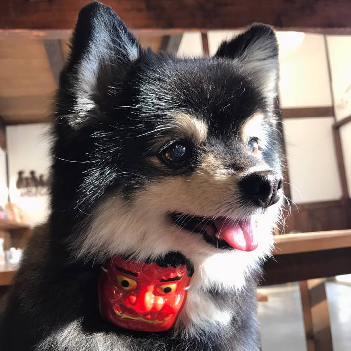 87f9fe86 3aac 48b6 a4d1 cbde227c9ef7 1612602183098