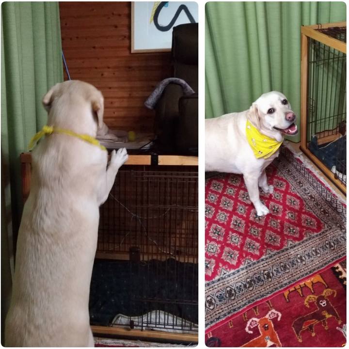 87fa137d 2dfa 4478 921b b1a958d5df93 1544267172649