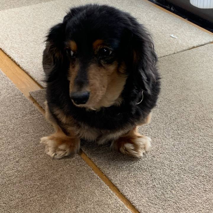 87fa30ea 1251 4f3c 9d1a f99fcc33be45 1588462244757