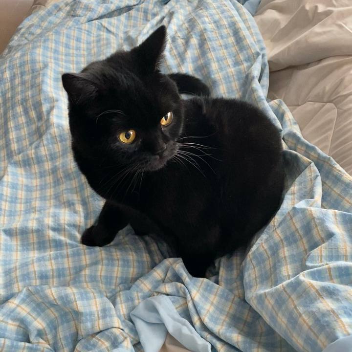 87fa63cf 6e0e 487e b37c 6266d9c021ab 1733293315227