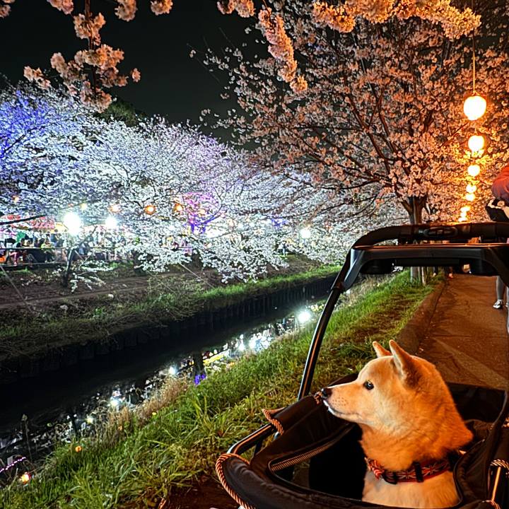 87faae24 bb0d 4fb6 9713 8a032f284628 1712668505198