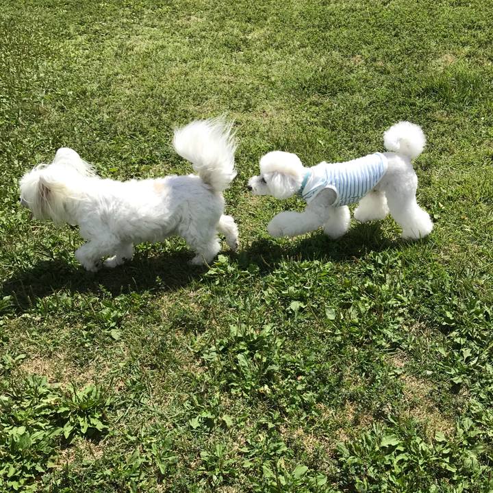 87faed91 435b 4fbb 8214 7450b42ab28e 1535330750899