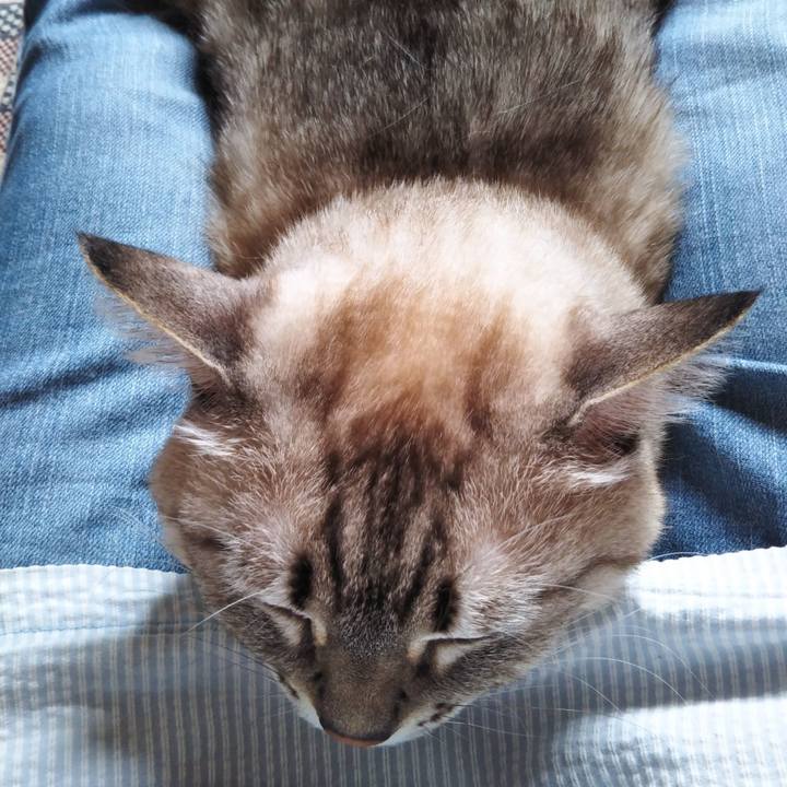 87fb1ed3 f713 47ad b332 8e53fb46670b 1632804927083