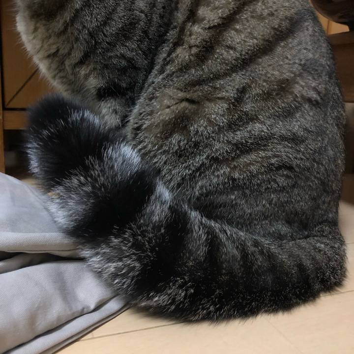 87fb27f0 bc6d 47bf b0f2 88fce228bd1a 1604722044046