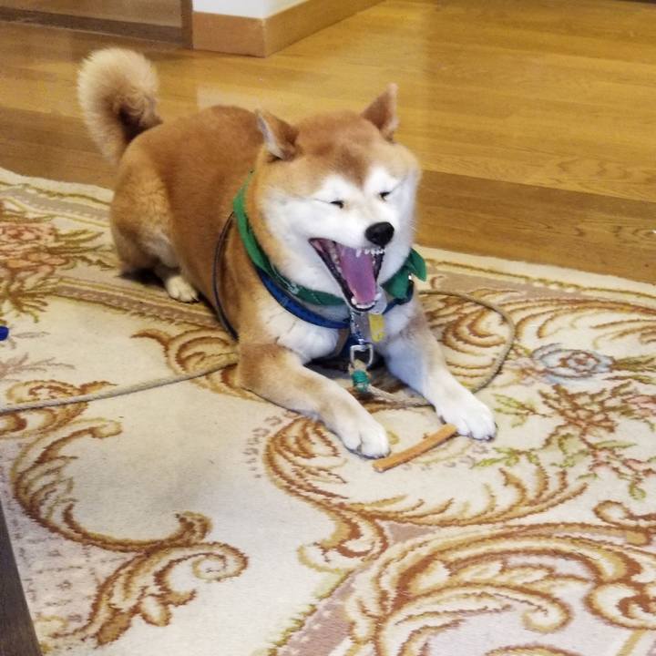 87fb7259 69b7 4150 96da b38857f4ed91 1553299812173