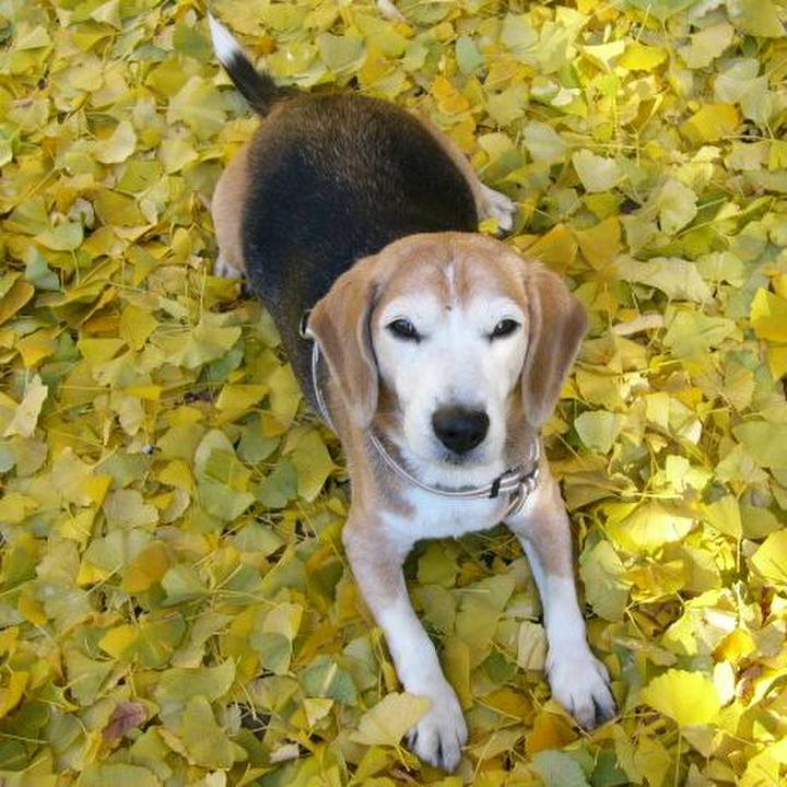 87fb8e7f 10bf 4e23 ac5b 114c2bdf0842 1733704099857