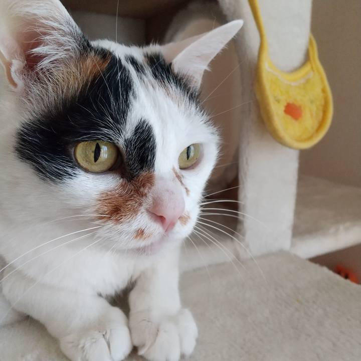 87fb8ff4 bc9e 4615 b30d aaa59beefdeb 1650588662427