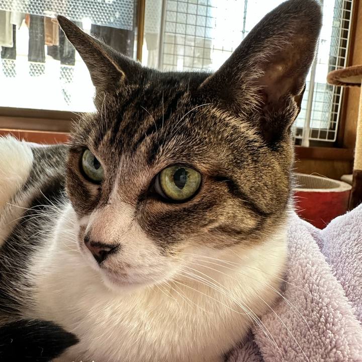 87fba30d 1bbd 4307 a70e e8ffaad35216 1679103216715