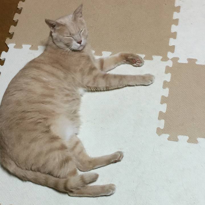 87fbbcbd edd5 4471 b792 b18a895a124e 1533495024576