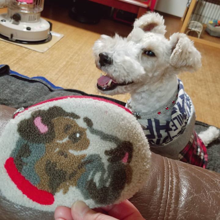 87fbc4f9 bbd0 4429 9dad 84eb218c1699 1552482527226