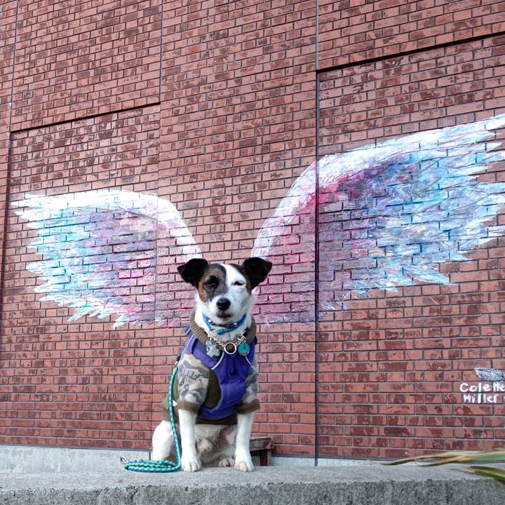 87fbcf85 22c9 4a6b 8cab d35e48d0f8c9 1634980810610