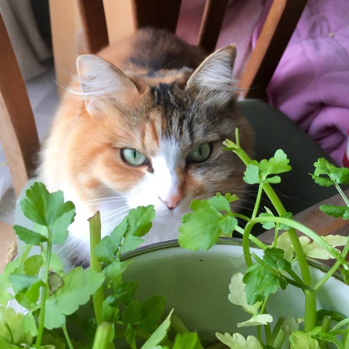 87fc09d8 047a 49af 8aa3 d224234a5752 1587529079909