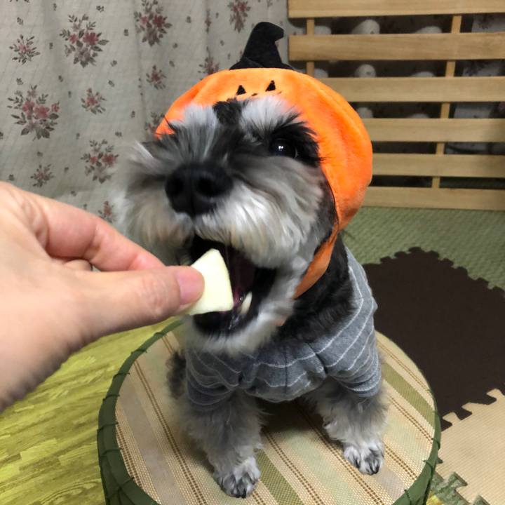 87fc5a0c 9095 49fa 9c69 e37539760d17 1698746216531