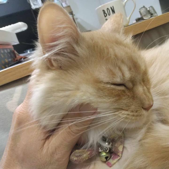 87fc9401 d16c 4cf5 a8c4 79c55d732499 1706704811325