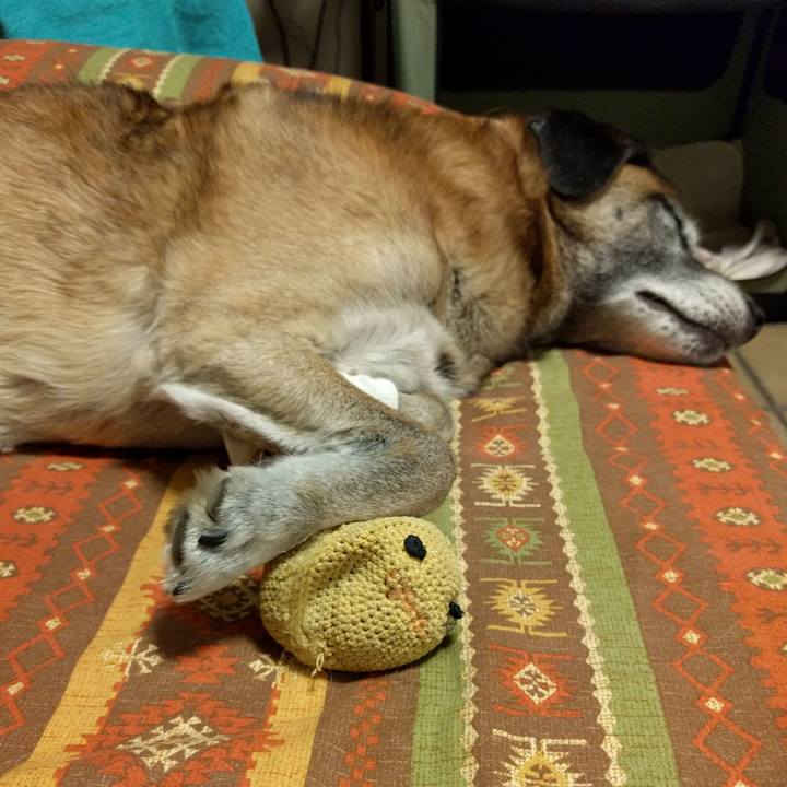 87fcb711 01fe 45a7 b8b7 93e8091b147b 1541250441403