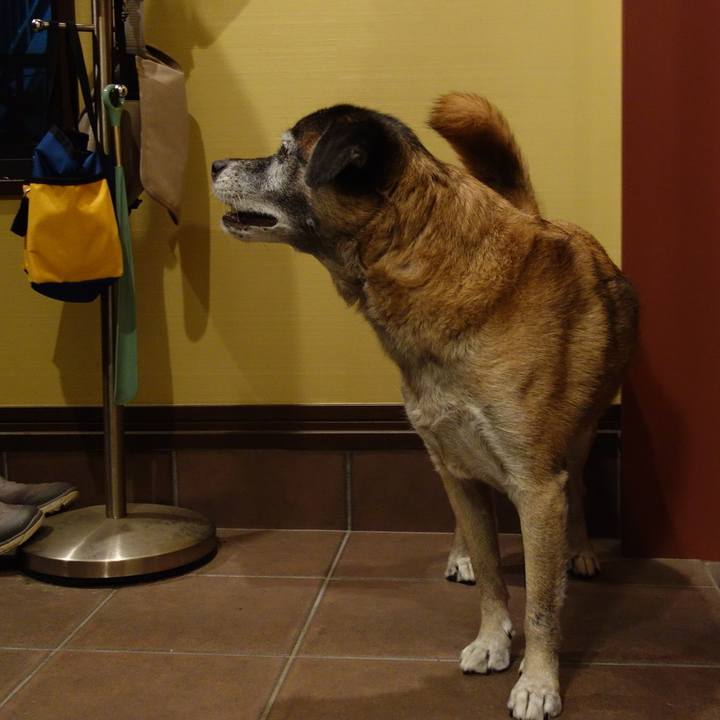 87fcc6e6 60b9 488e 9ef9 bb4f12e4ce36 1649206781708