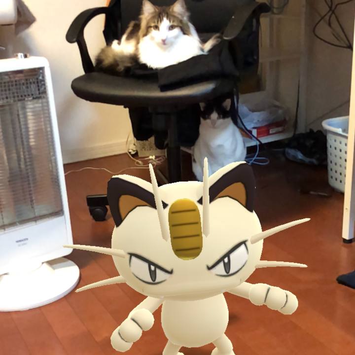 87fceff3 c539 46c9 85c8 08a4583b9b1d 1554289486092