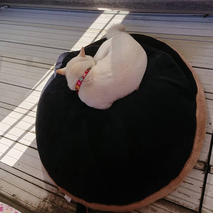 87fd0774 fc30 48a8 8197 89cc099ca956 1513482002711