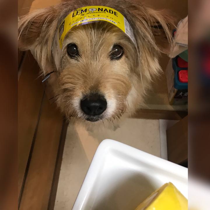 87fd301c b77c 4fc3 9bd7 bccf5f58f322 1622989604917