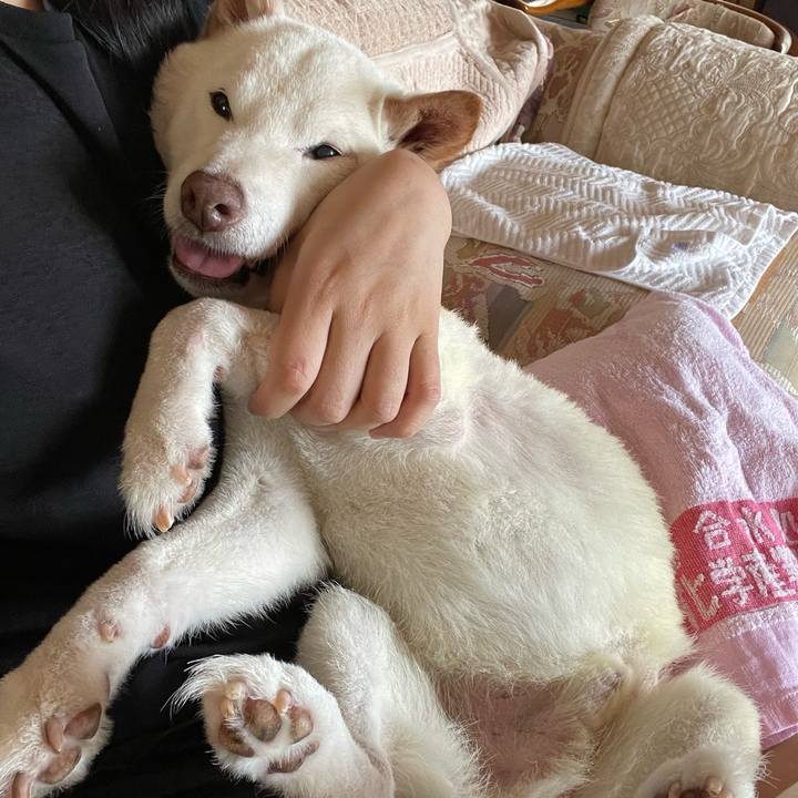 87fd50ad 2f15 415c 9ebe 77e0c3d84203 1663649272756