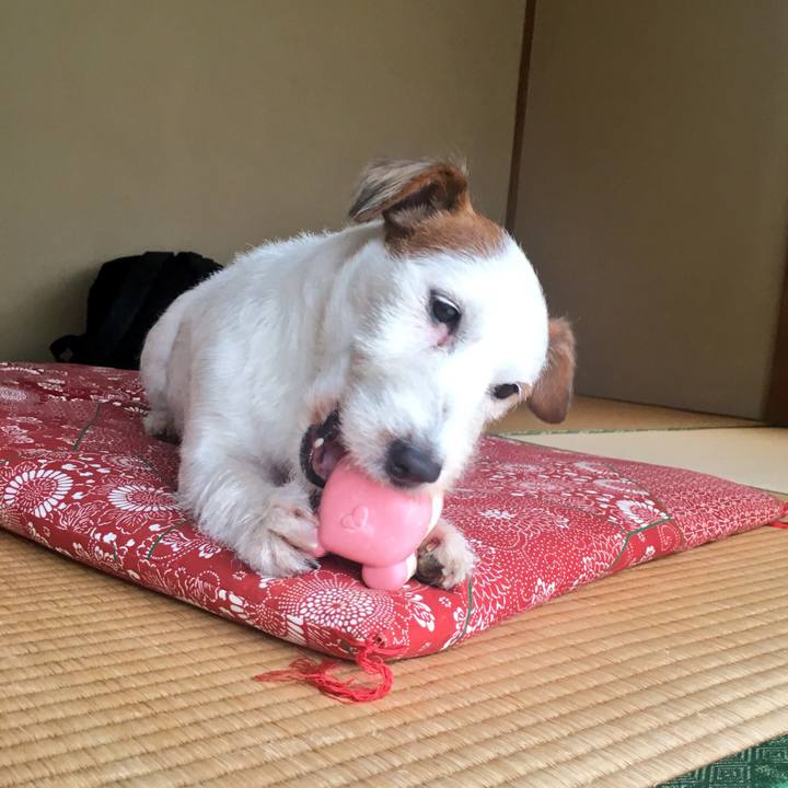 87fd5475 1b17 4b80 8317 6318ce269c6b 1535805698089