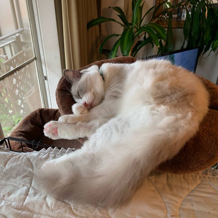 87fd5cc1 977c 421b a914 11a8463418dc 1631082964053