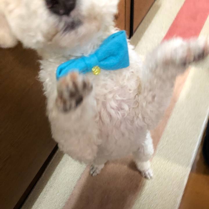 87fd6256 bb00 4201 9985 1d3643bf93d5 1523804744602