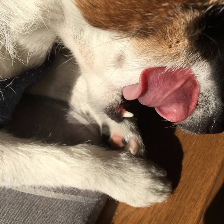 87fd64aa 293d 4d88 ad01 79df593efb4c 1553728837268