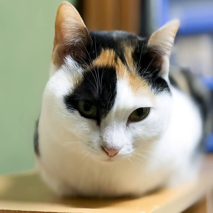 87fd6b11 b4f3 428c 8ea2 9457cbf51a3d 1515888637470