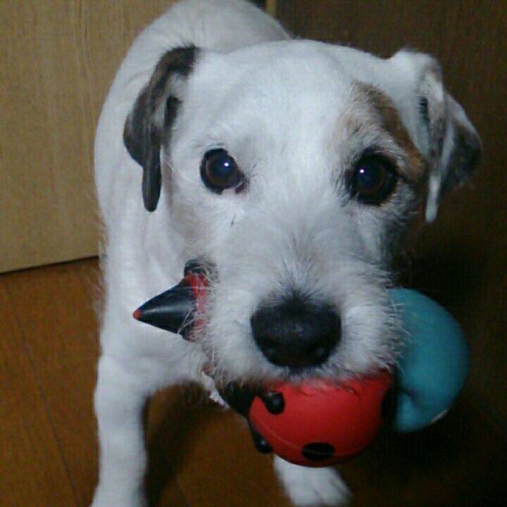 87fd8ded a4a0 499f a128 60d7e8be7519 1516317115291