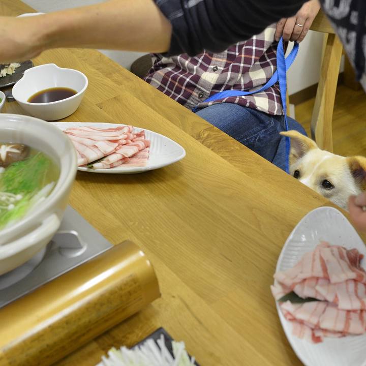 87fd8f3e 193c 4445 9e37 14b25aad38cd 1545739402507