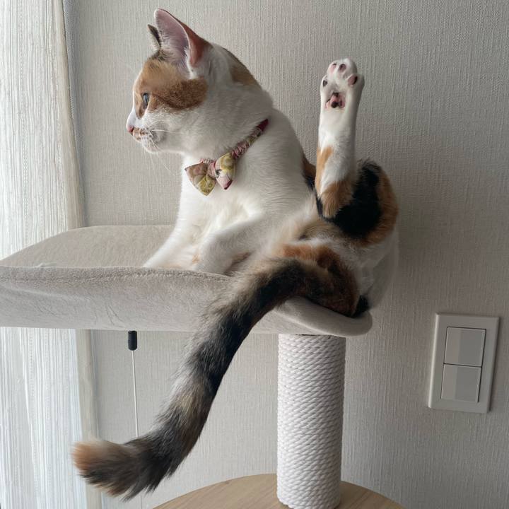 87fd95b6 5802 4a23 9805 a1daf2067d9f 1635982776057