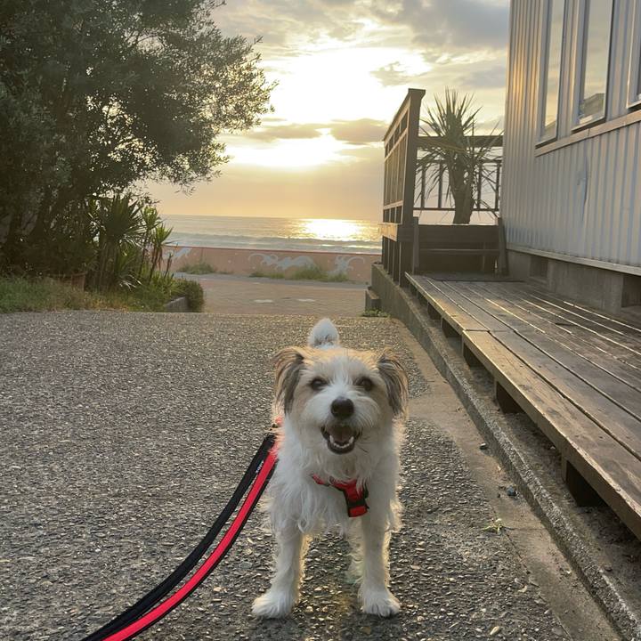 87fdb2ab 3883 4a9a a1e3 2574bcfd7f90 1758926741486