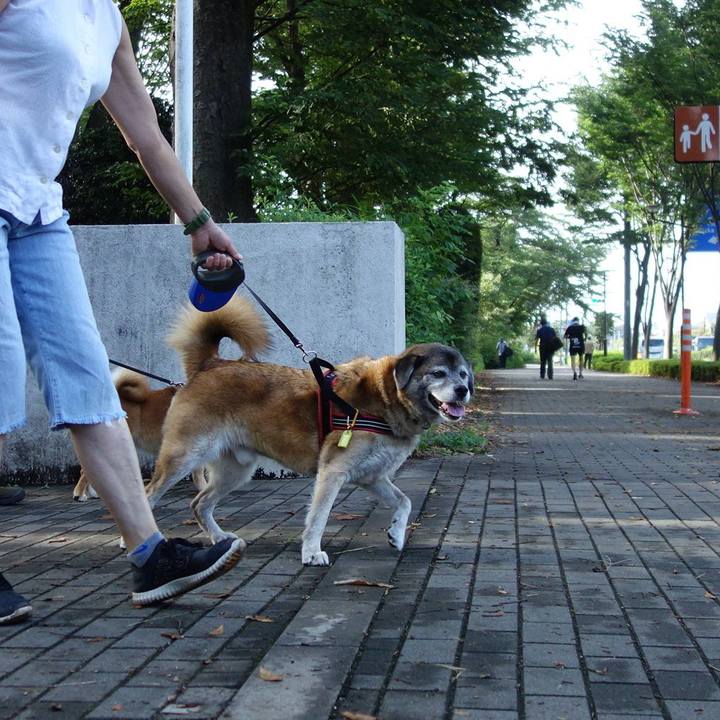 87fde17b afed 4f42 8539 38fb5df1488e 1566604268921