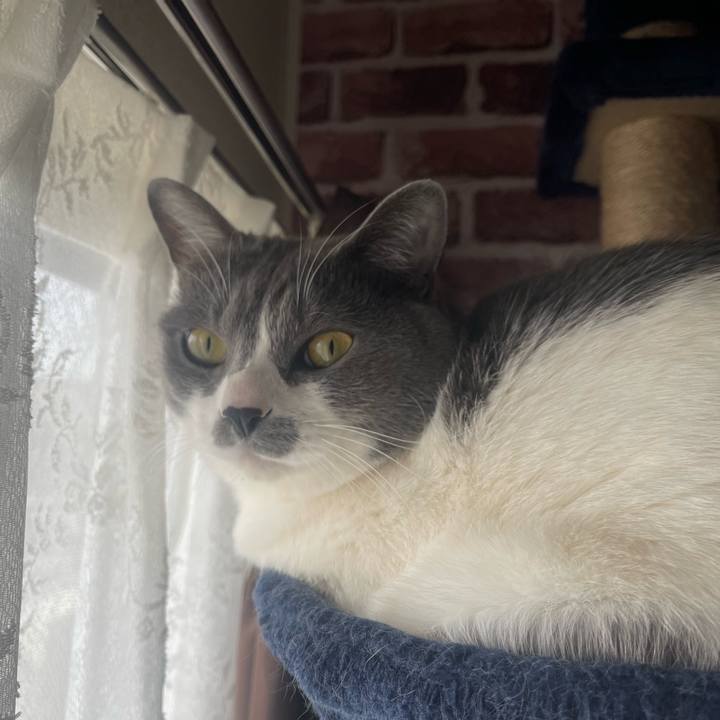 87fe065a eab0 417e 880e 6939bbcba237 1679010658555